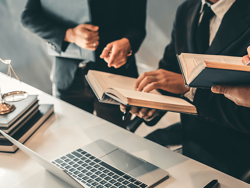 Análise, Fundamentação e Preparação de Pleitos na Esfera do Direito Administrativo